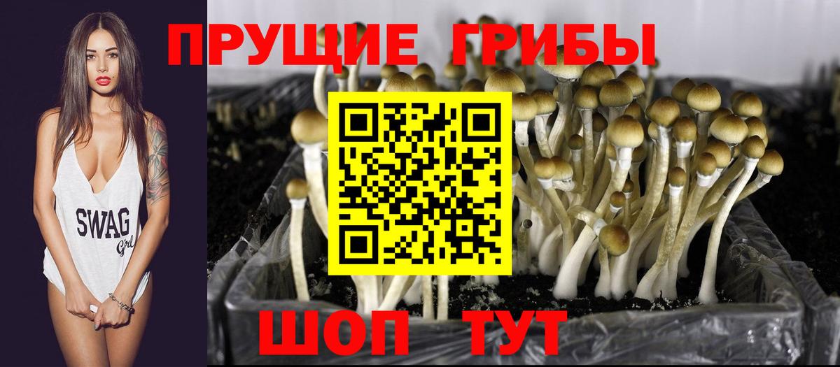 Галлюциногенные грибы Magic Shrooms Славянск-на-Кубани