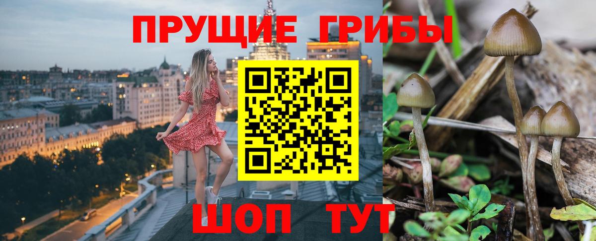 Славянск-на-Кубани  наркота  Вход с VPN  Псилоцибиновые грибы Magic Shrooms  Псилоцибиновые грибы мухоморы 