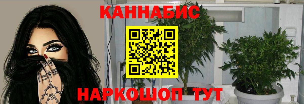 Шишки марихуана AK-47 Славянск-на-Кубани